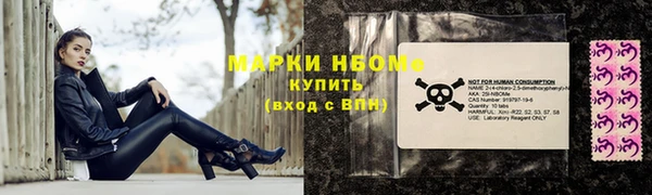 мет Алексин