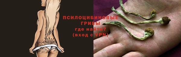 ECSTASY Алексеевка