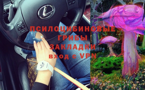 ECSTASY Алексеевка