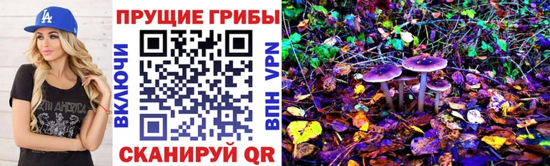 продажа наркотиков  Волгоград  Псилоцибиновые грибы ЛСД 