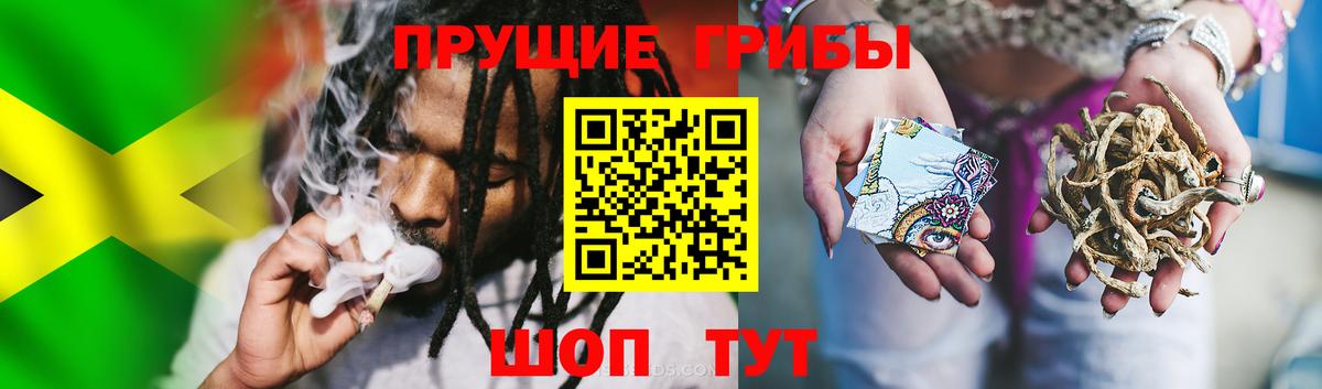 Волгоград  Галлюциногенные грибы мицелий  Псилоцибиновые грибы GOLDEN TEACHER  Вход с VPN 